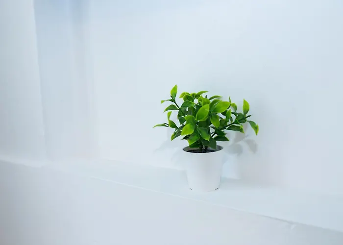 Διαμέρισμα Summer Κως Πόλη