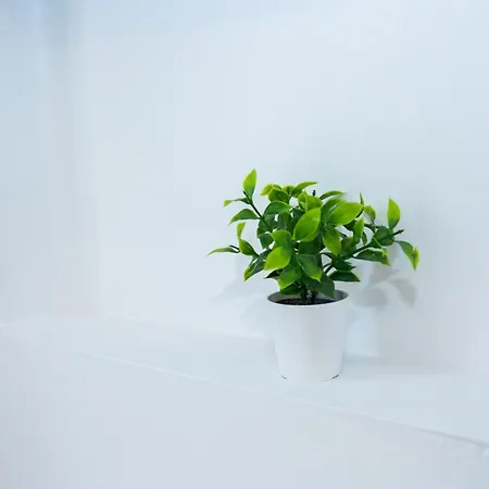 Apartment Summer Kos Town